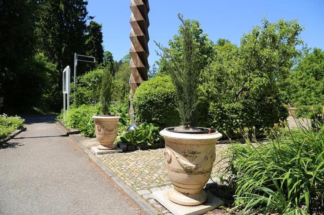 Villa Hedwig Badenweiler Exteriér fotografie