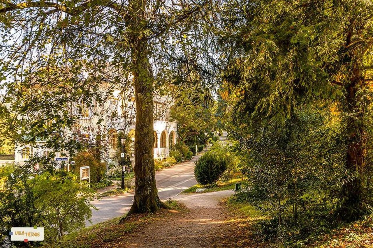 Villa Hedwig Badenweiler Exteriér fotografie